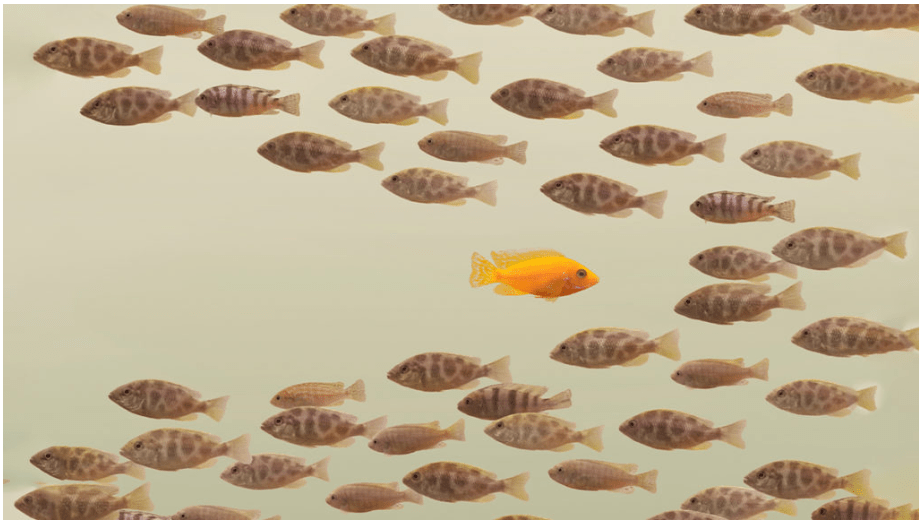 Leading Change in a Company That’s Historically Bad At It
