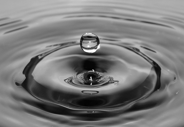 Mindfulness and Leadership: Cultivating a Present and Focused Leadership Style